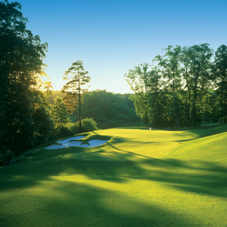 Golf Collateral Designer San Diego
