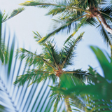 Resort Direct Mail Design San DIego